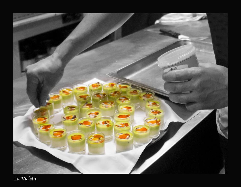 La Violeta Hotel Spa & Chill Out Castelltercol ภายนอก รูปภาพ